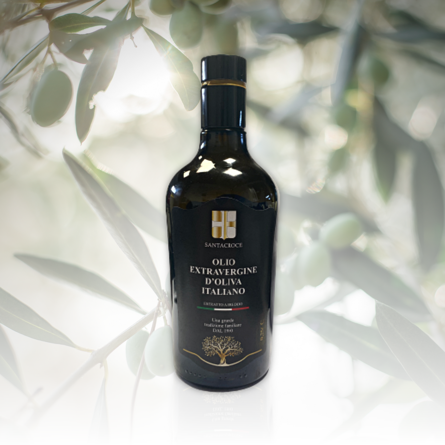 OLIO EXTRA VERGINE D'OLIVA - 0,50L