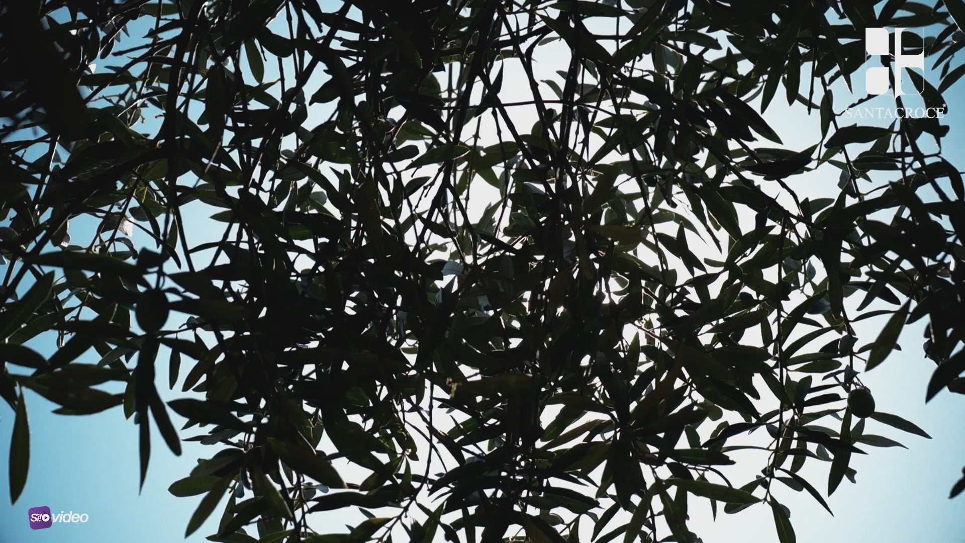 Carica il video: 